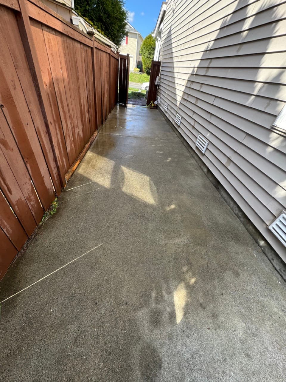 Pristine concrete walkway after soft wash treatment