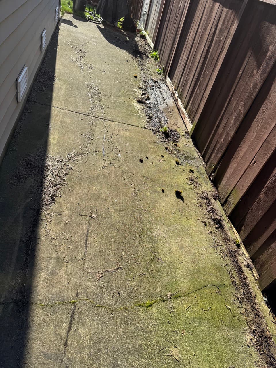 Cement sidewalk pressure wash — before