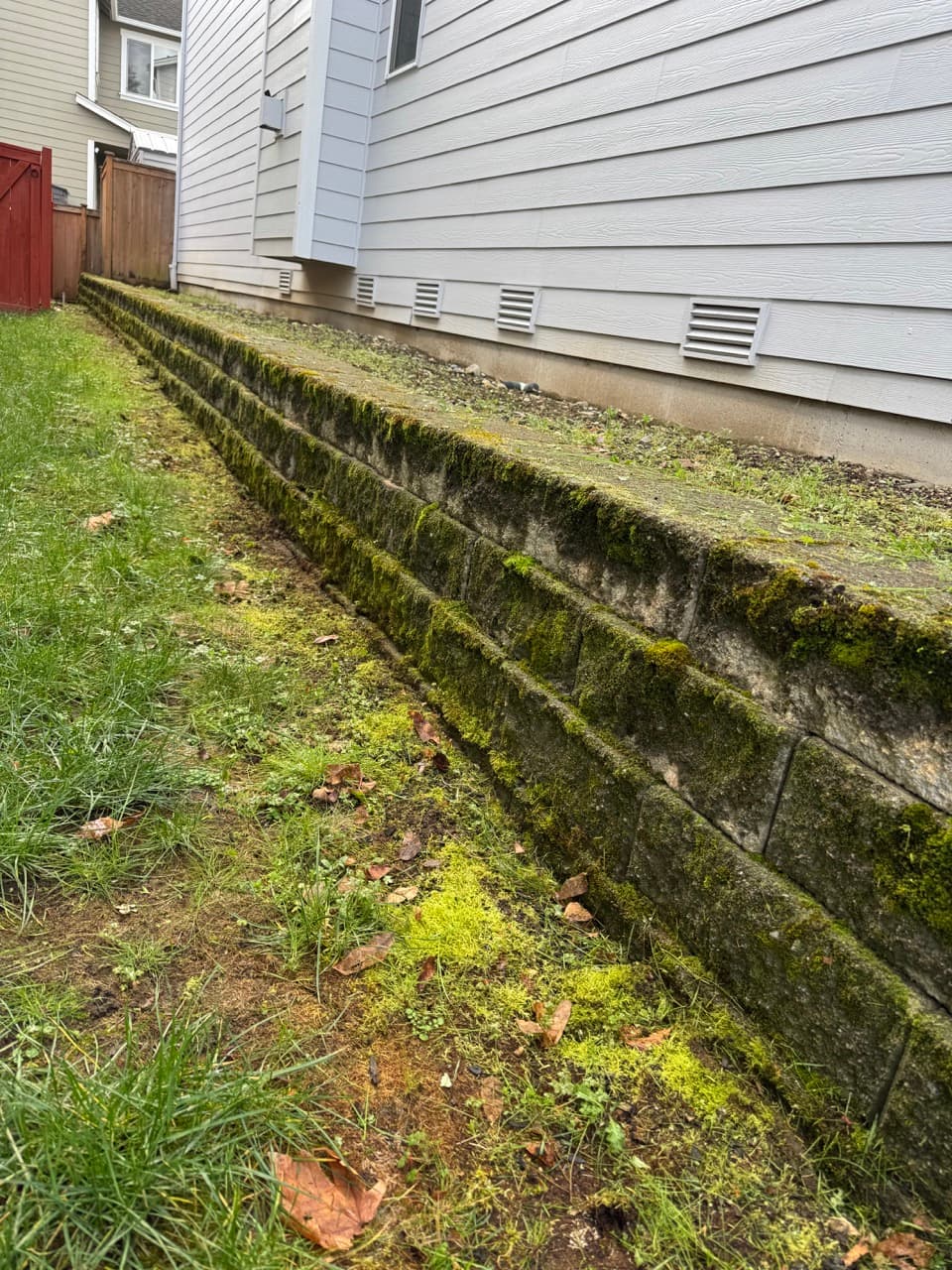 Stone wall soft wash — before