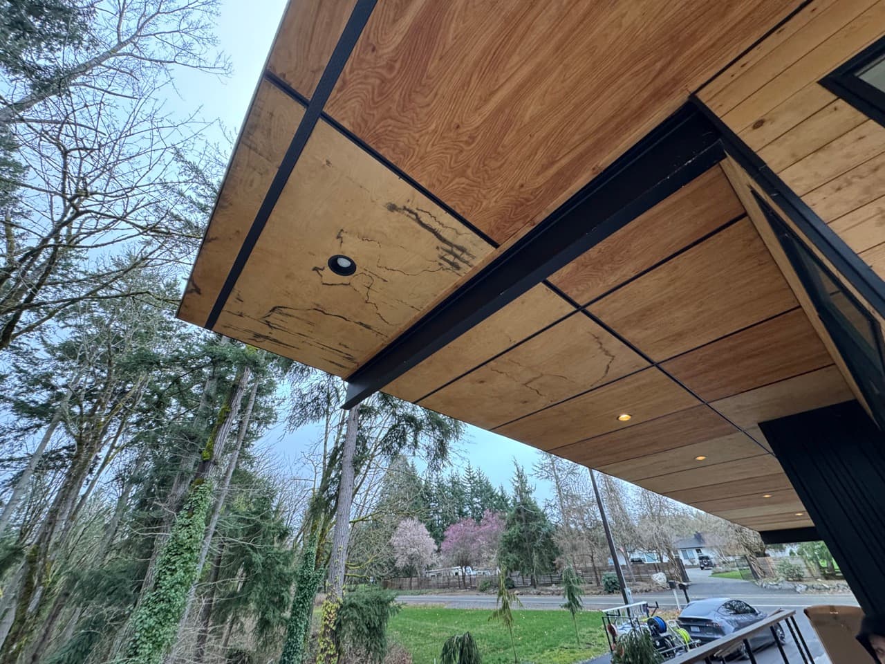 Roof moss treatment — before