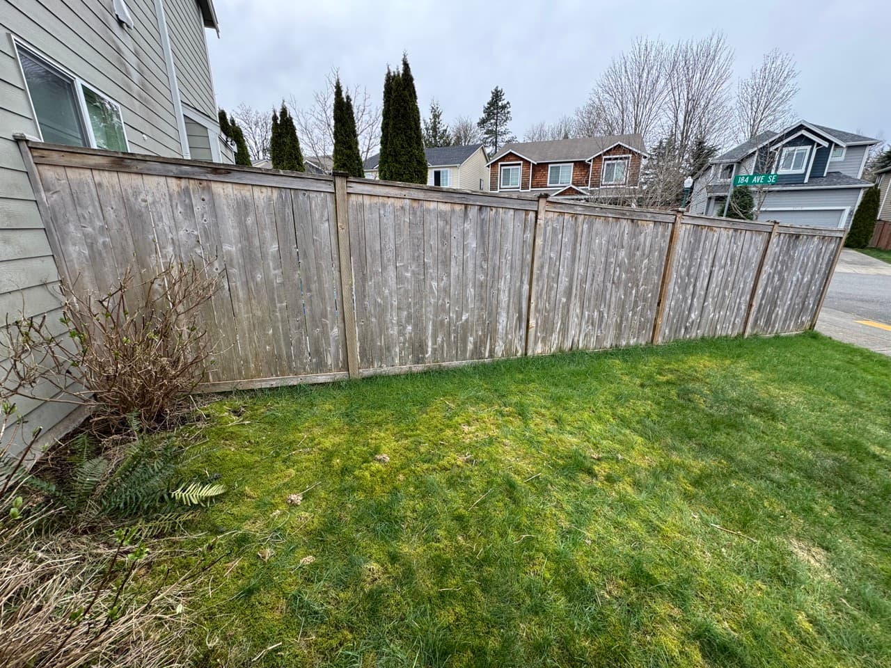 Wood fence covered in moss and grime before cleaning