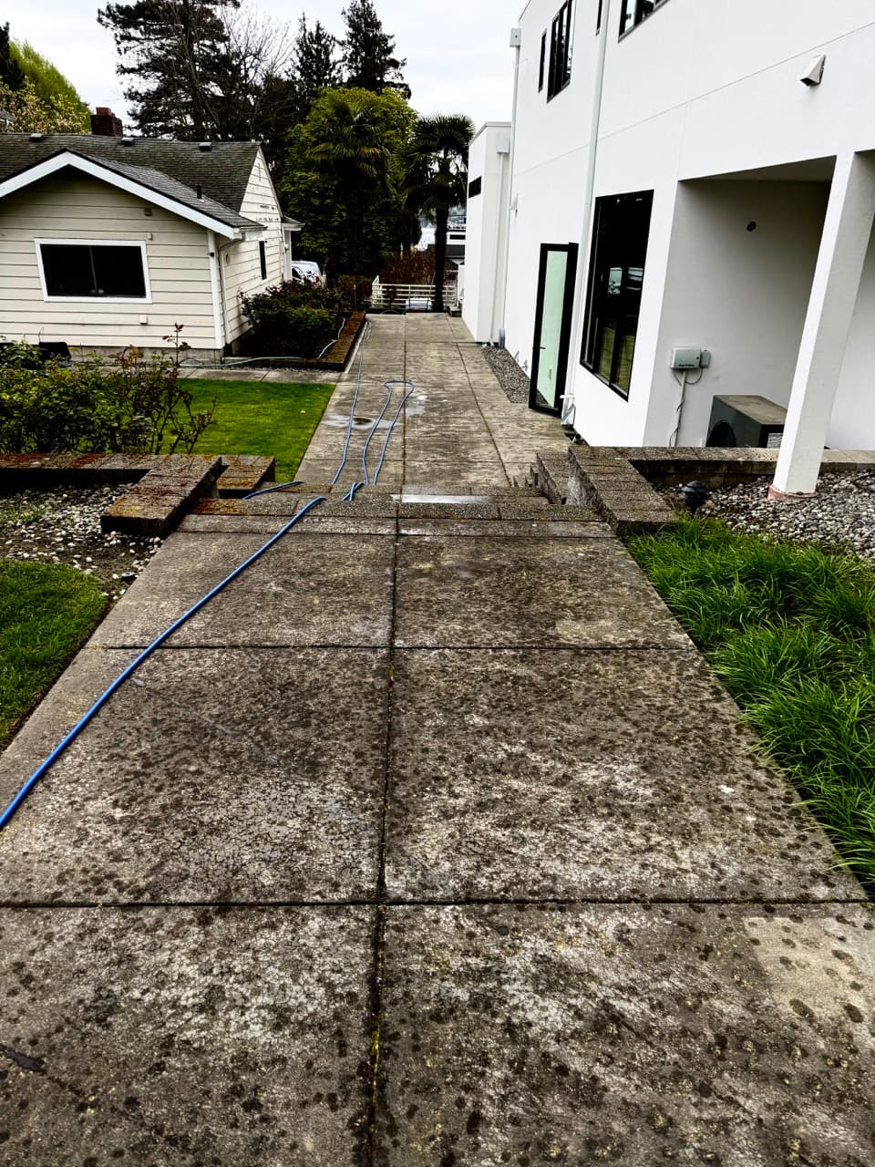 Concrete walkway cleaning in King County WA — before