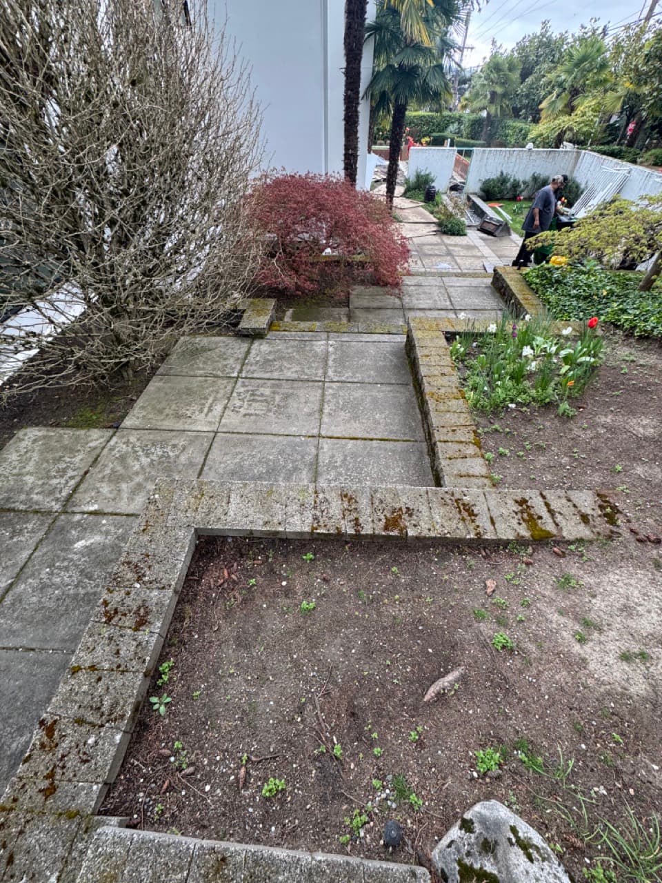 Driveway & Concrete — Before - Concrete walkway cleaning in King County WA — before