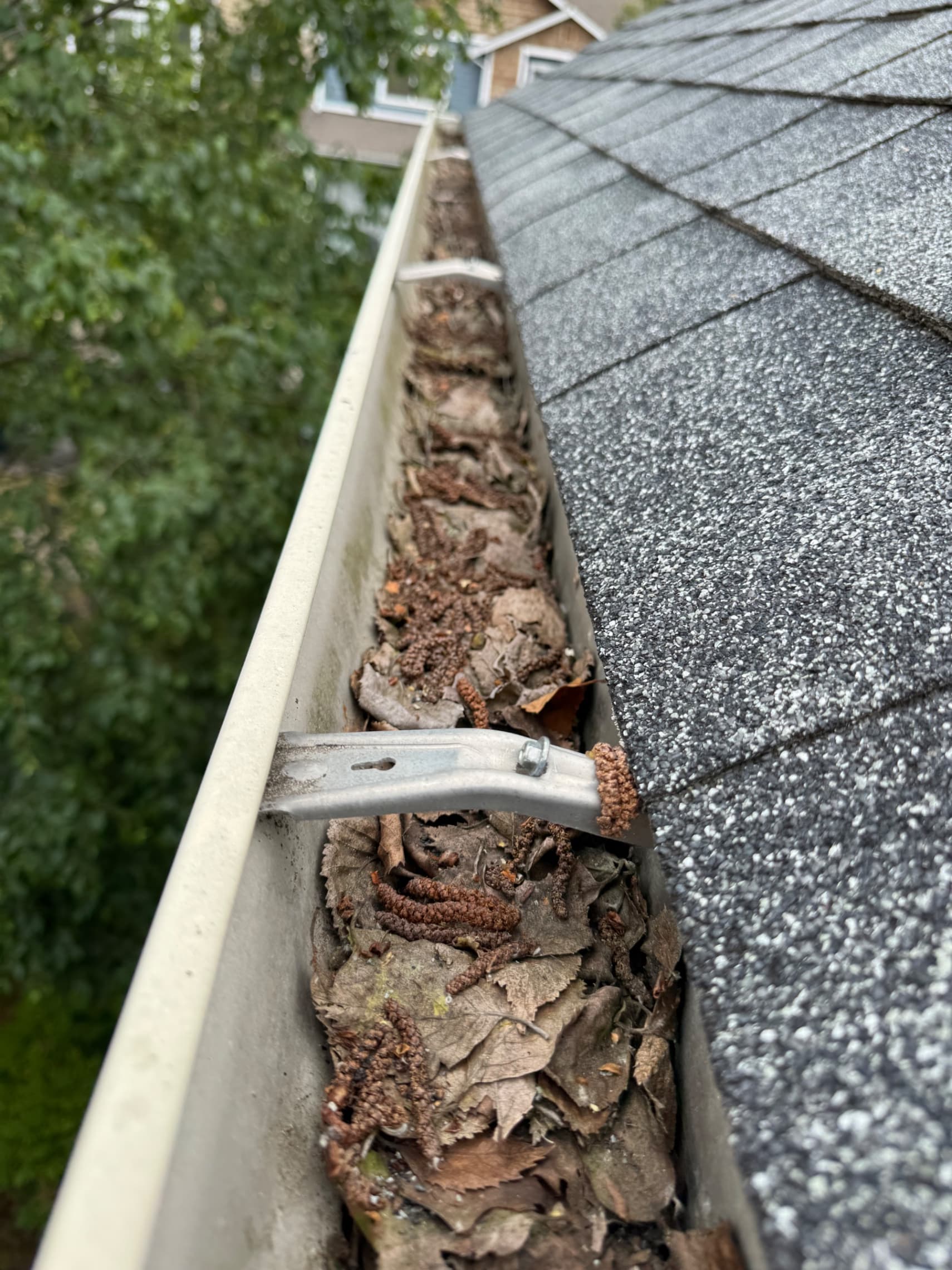 Gutter Cleaning & Debris Removal — Before - Gutter Cleaning & Debris Removal in King County WA — before