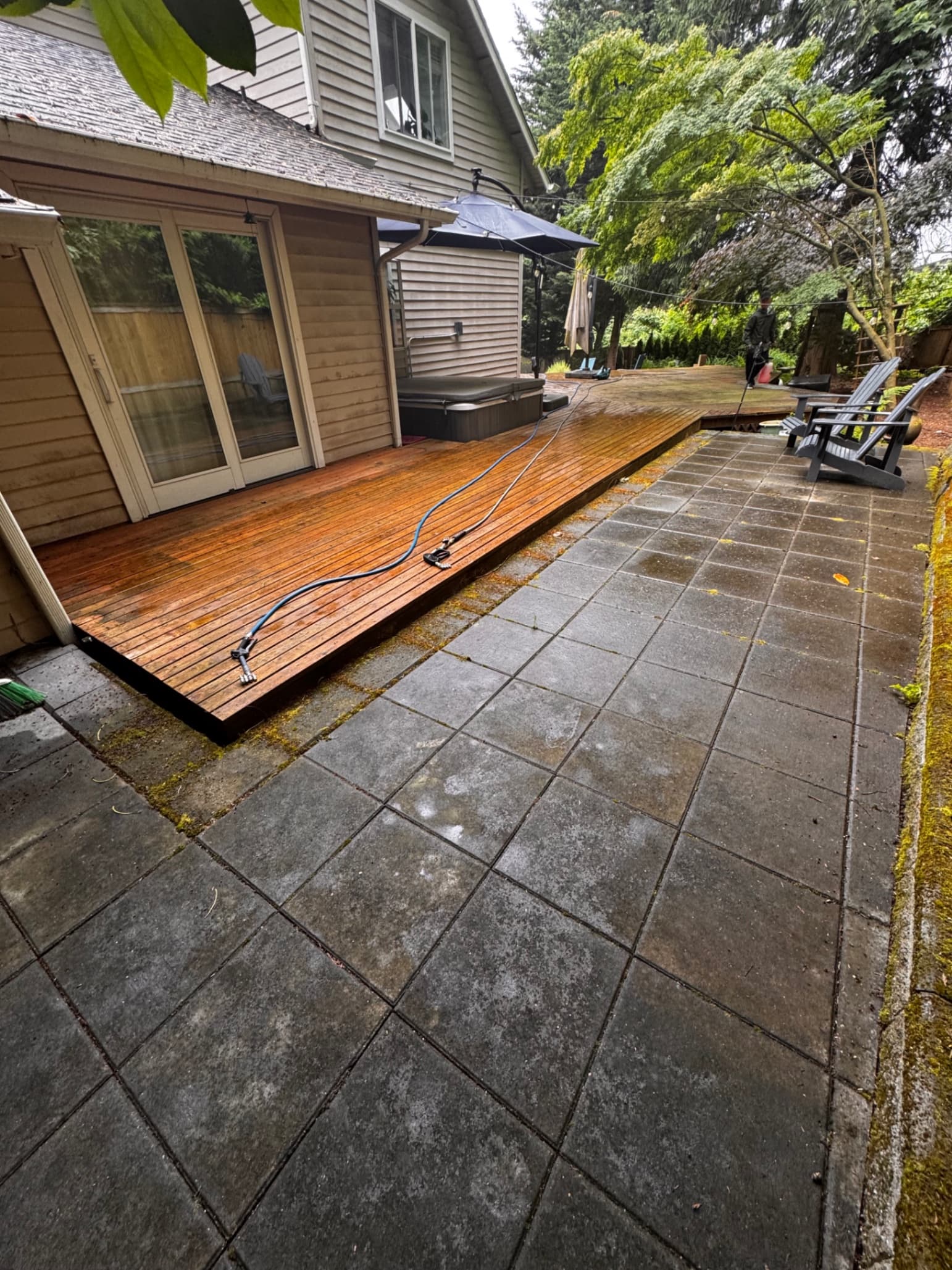 Deck & Patio Cleaning — Before - Deck & Patio Cleaning in King County WA — before