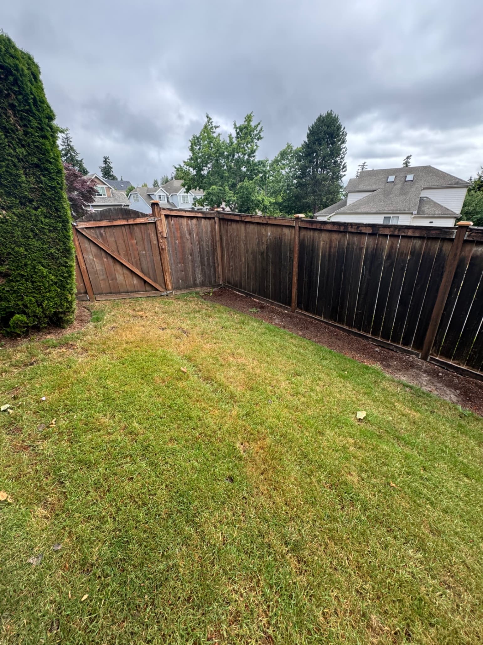 Fence Cleaning & Restoration — Before - Fence Cleaning & Restoration in King County WA — before