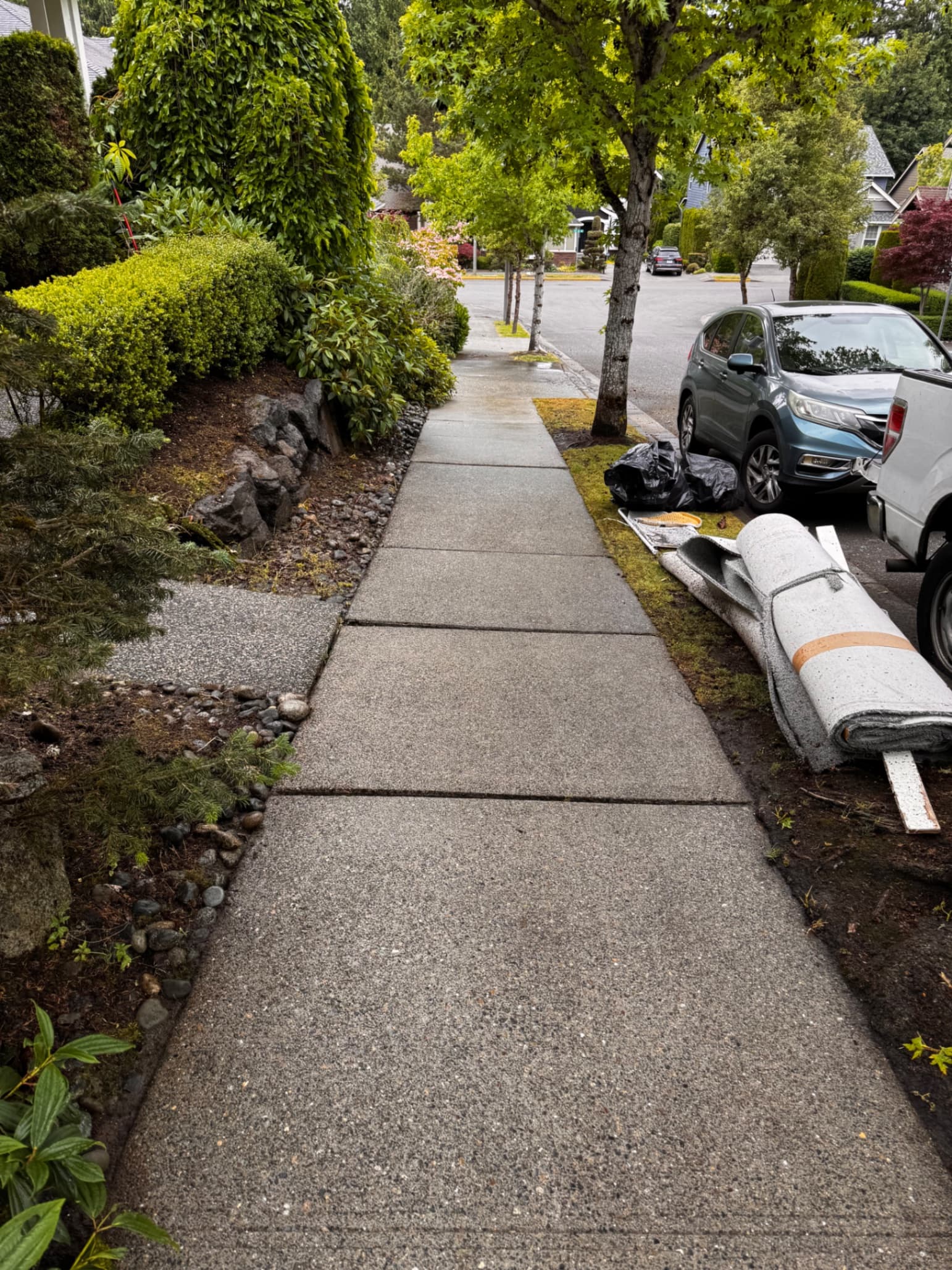 Driveway & Concrete — Before - Driveway & Concrete in King County WA — after