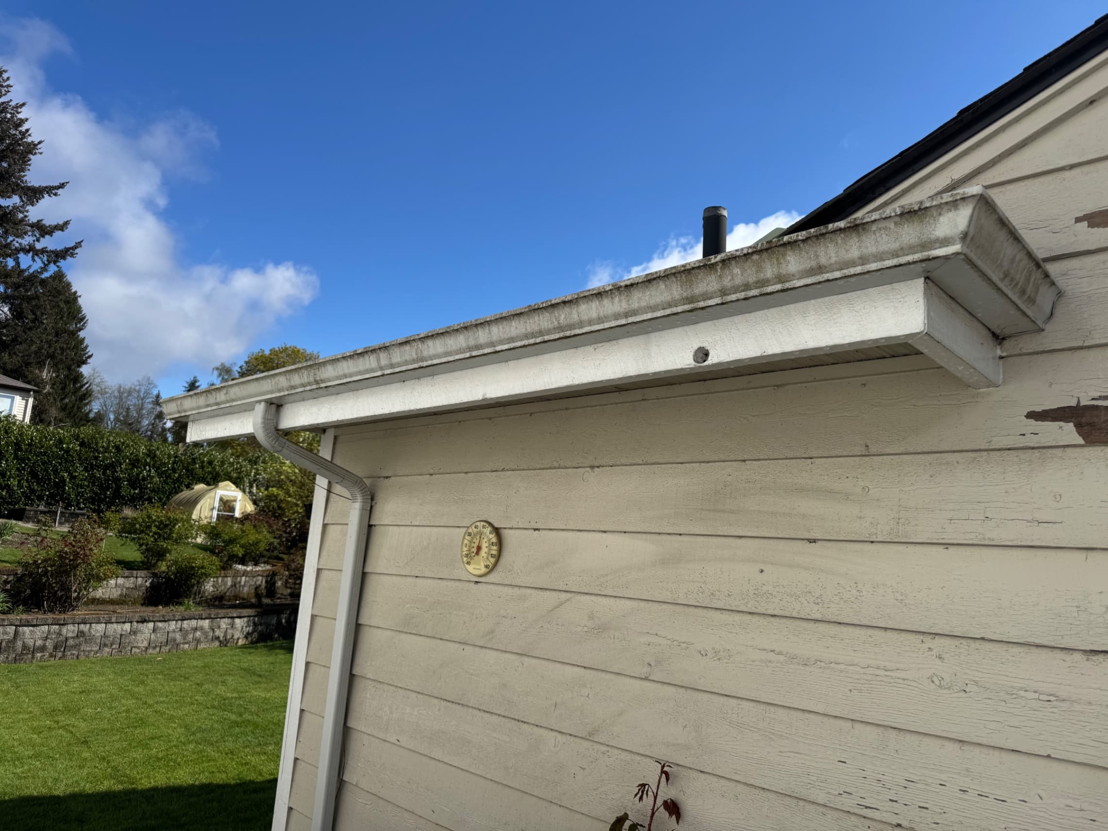 Gutter Cleaning & Debris Removal — Before - Gutter Cleaning & Debris Removal in King County WA — before