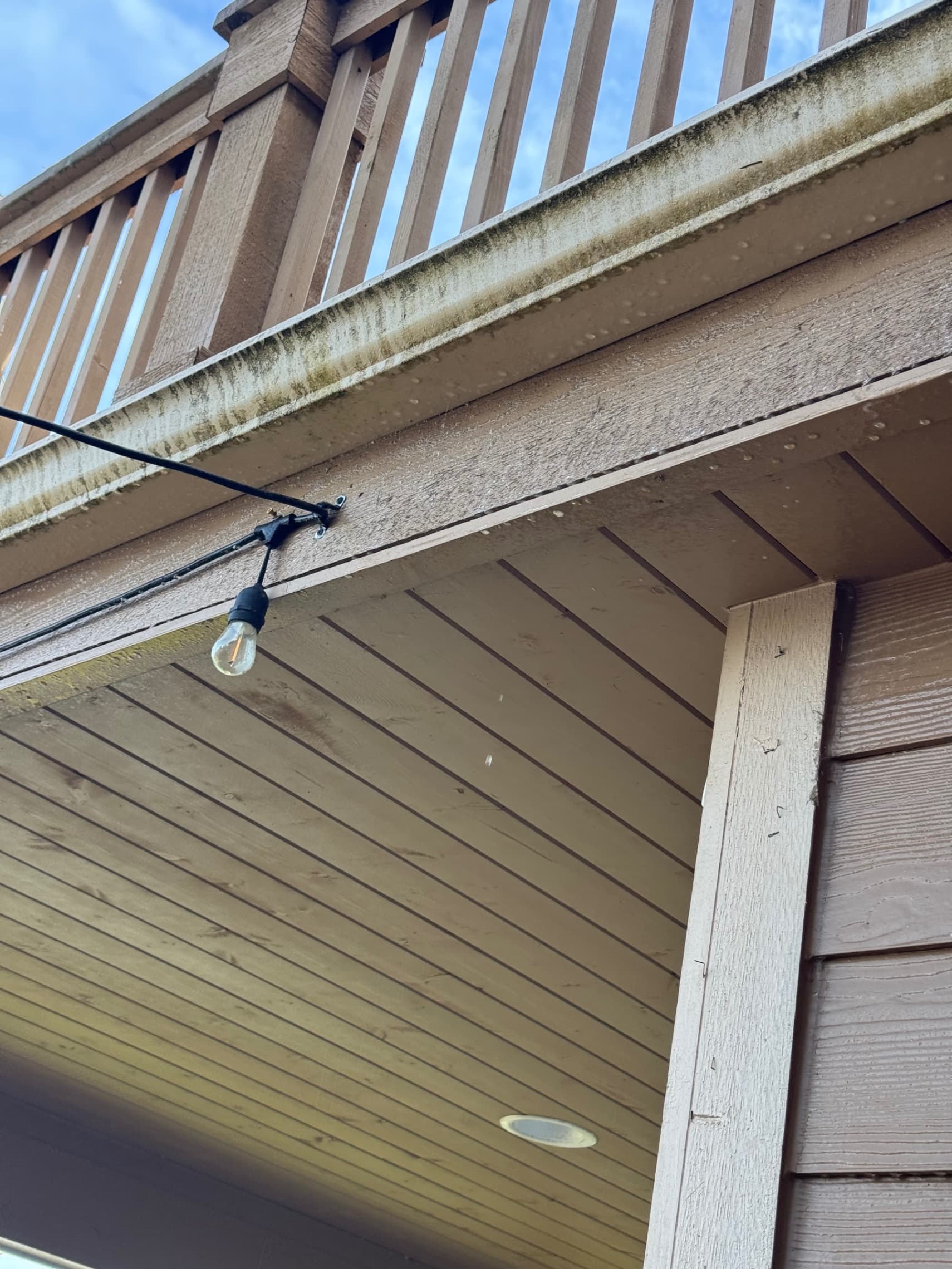 Gutter Cleaning & Debris Removal — Before - Gutter Cleaning & Debris Removal in King County WA — before